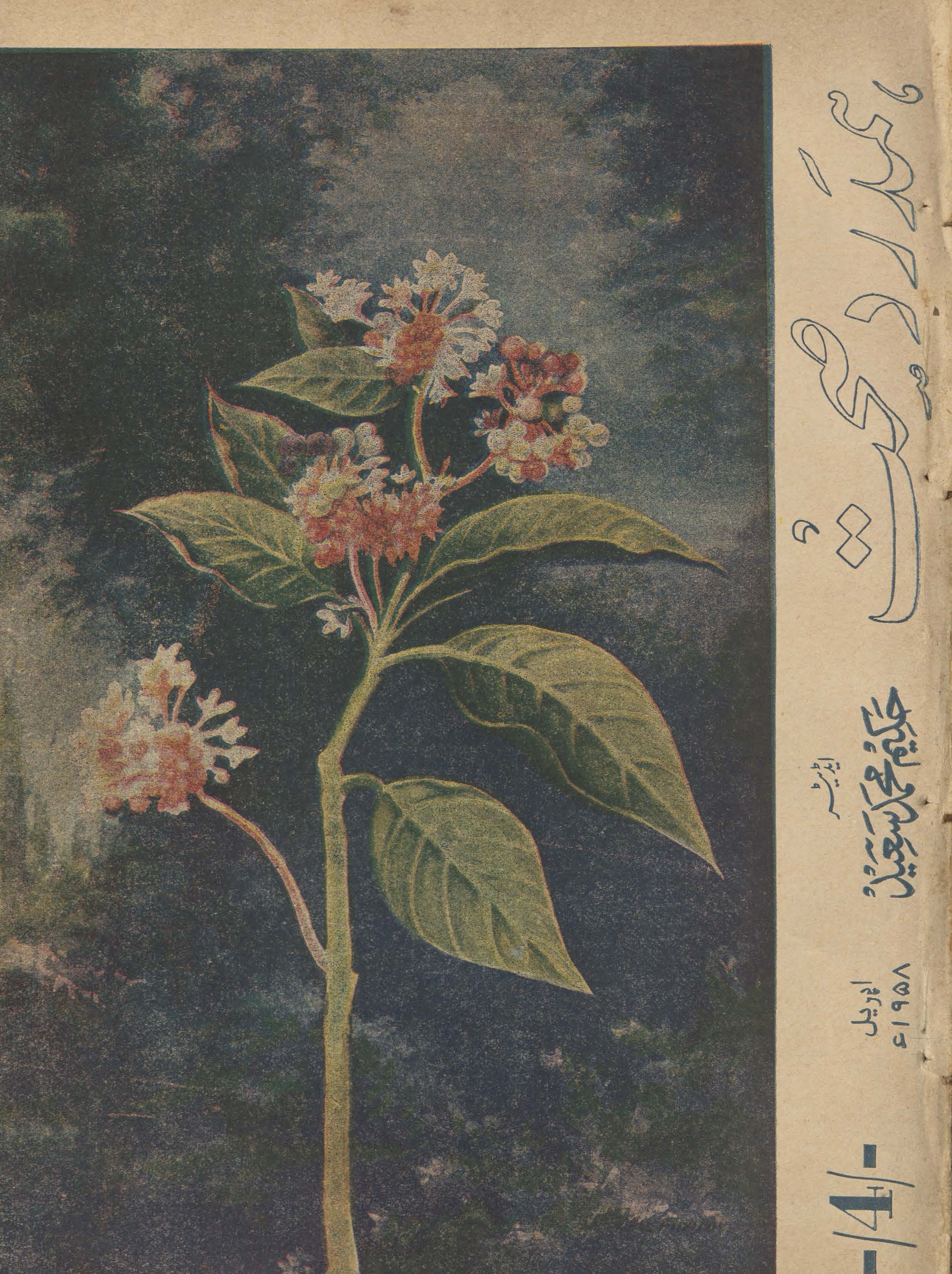 Hamdard ṣiḥḥat