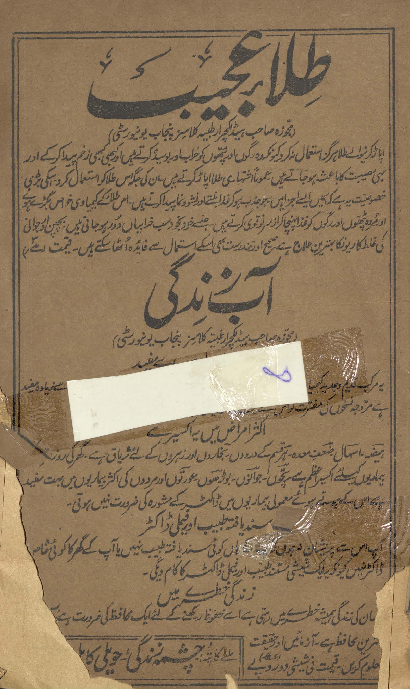 Mushirulat̤ibbāʻ