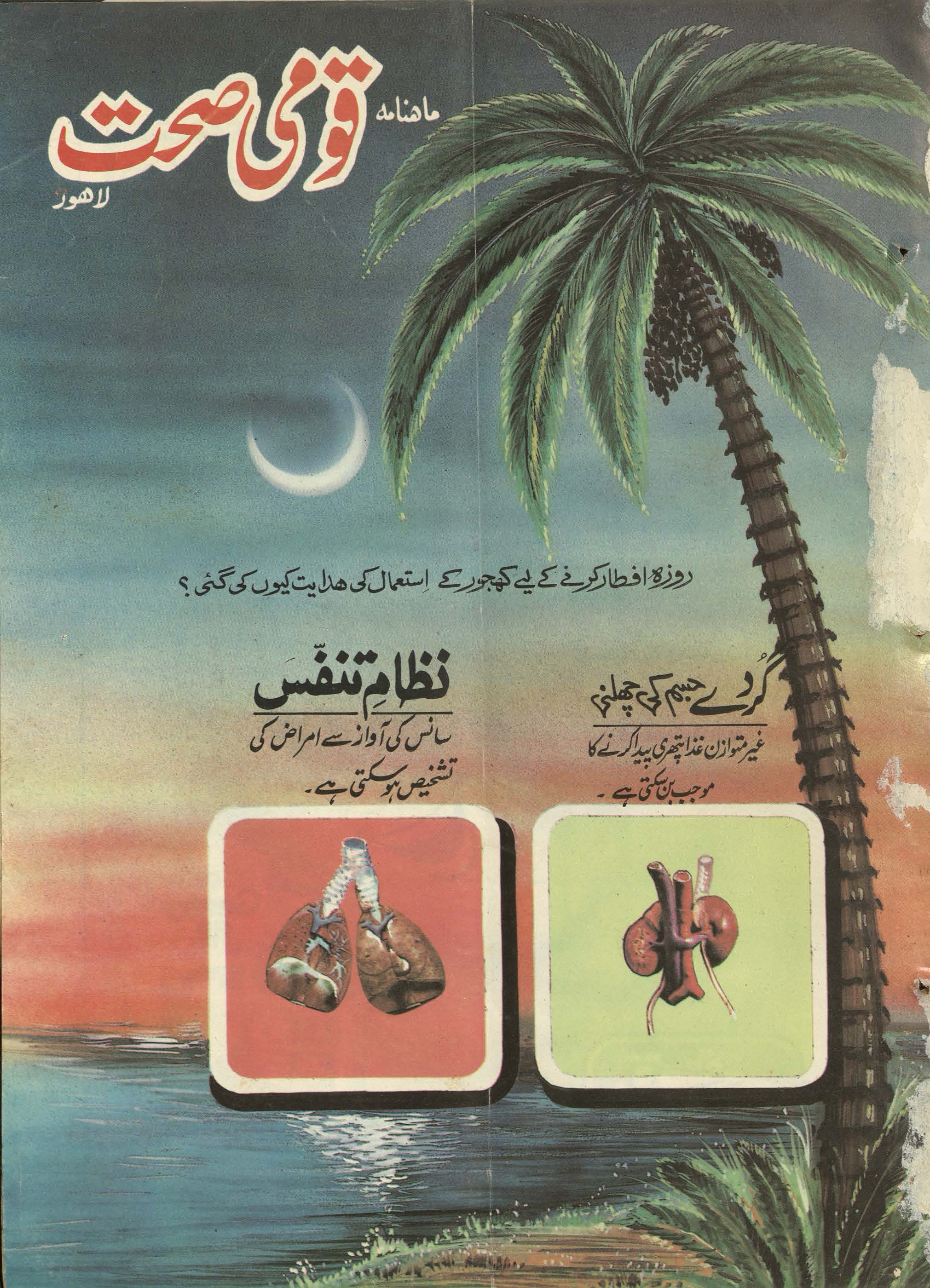 Māhnāmah qaumī ṣiḥḥat Lāhaur