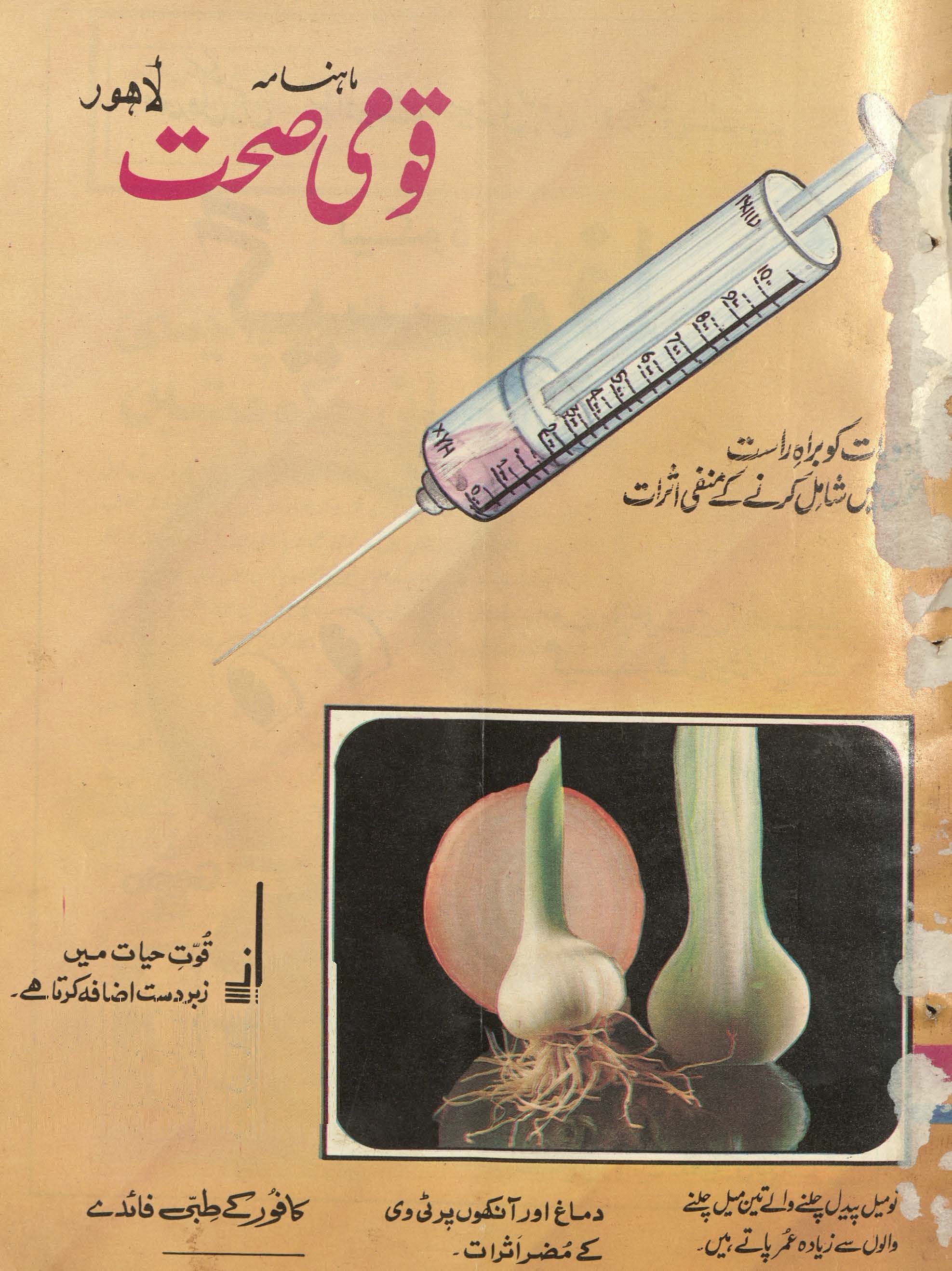 Māhnāmah qaumī ṣiḥḥat Lāhaur